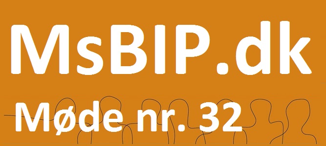 MsBIP-møde32-stor